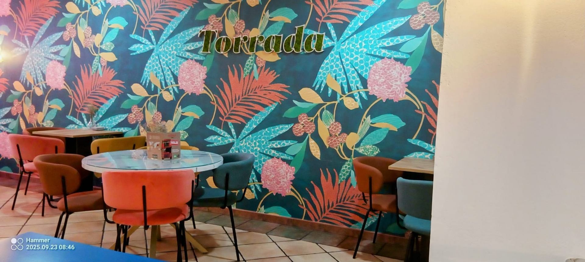 Plato Torrada